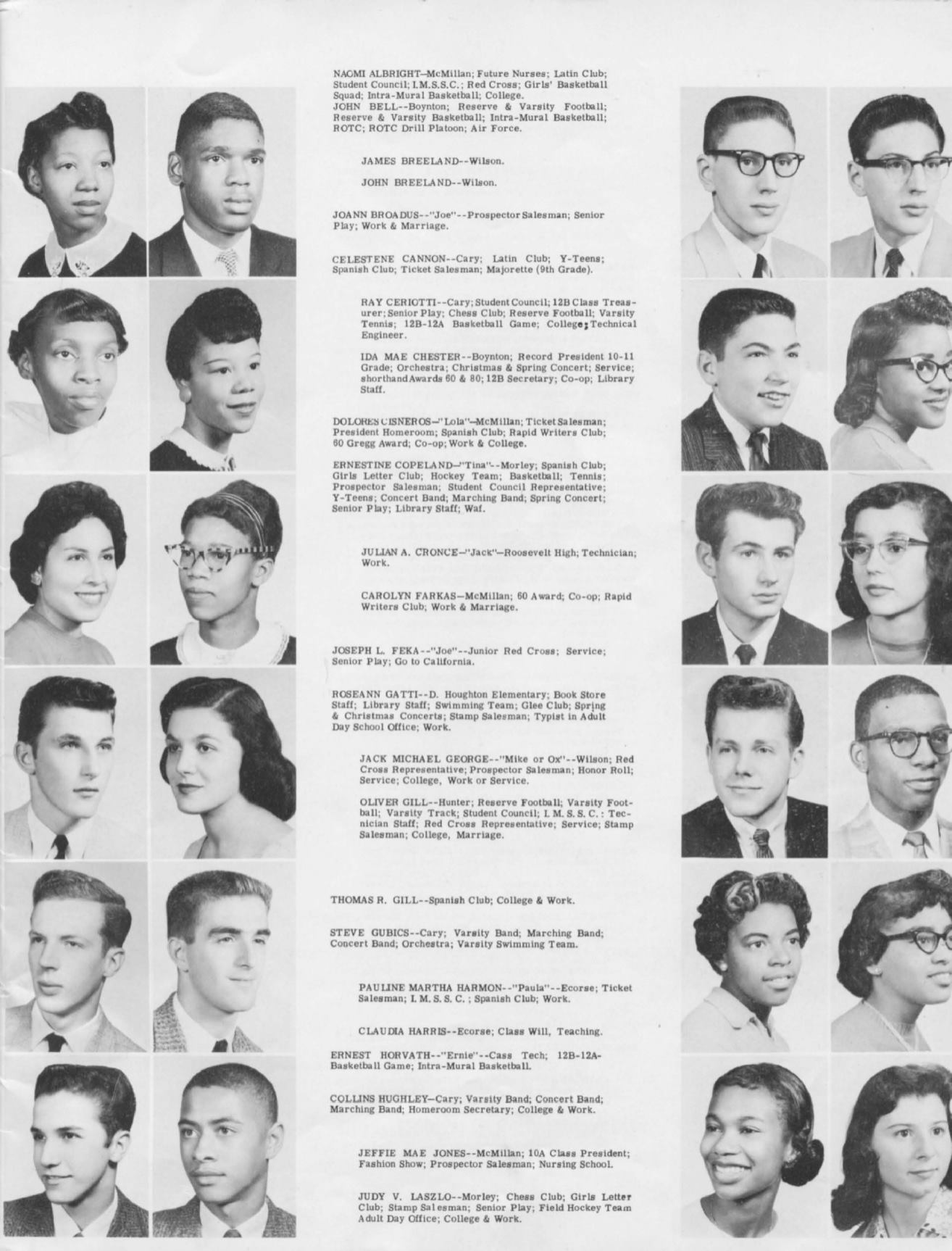 Page Background