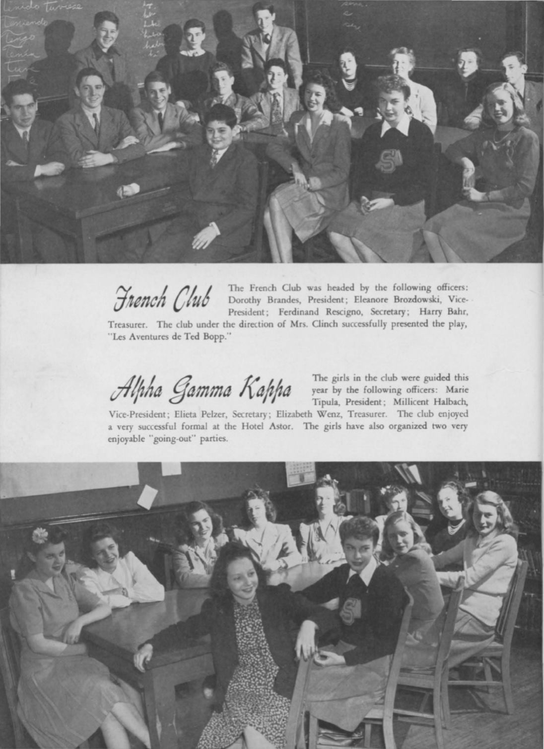 Page Background
