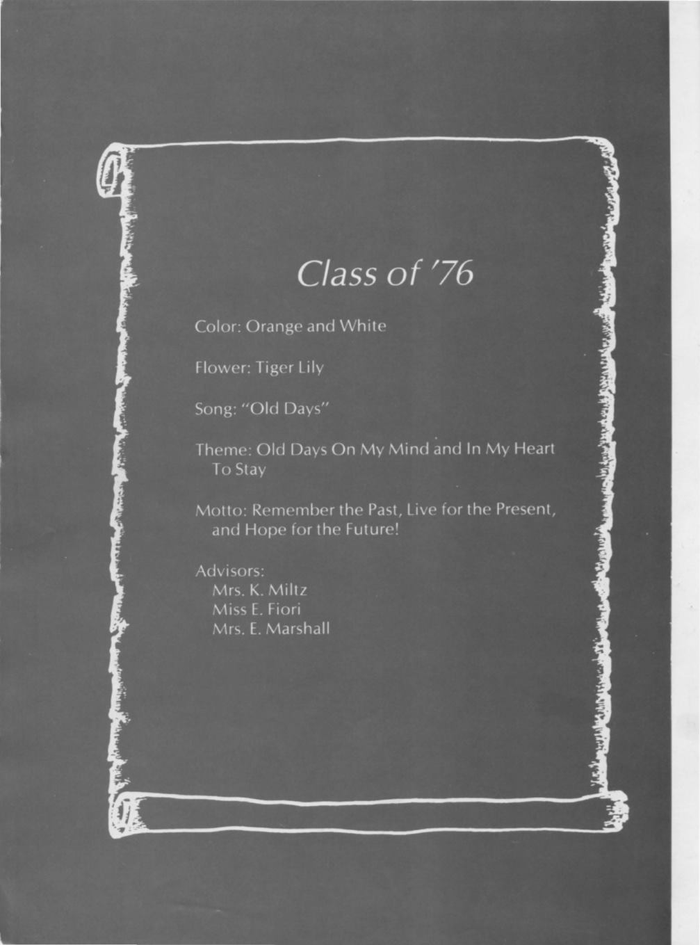 Page Background