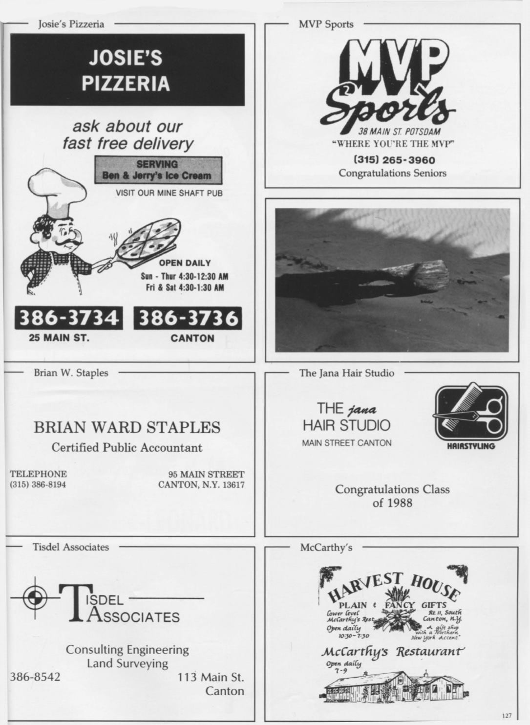 Page Background