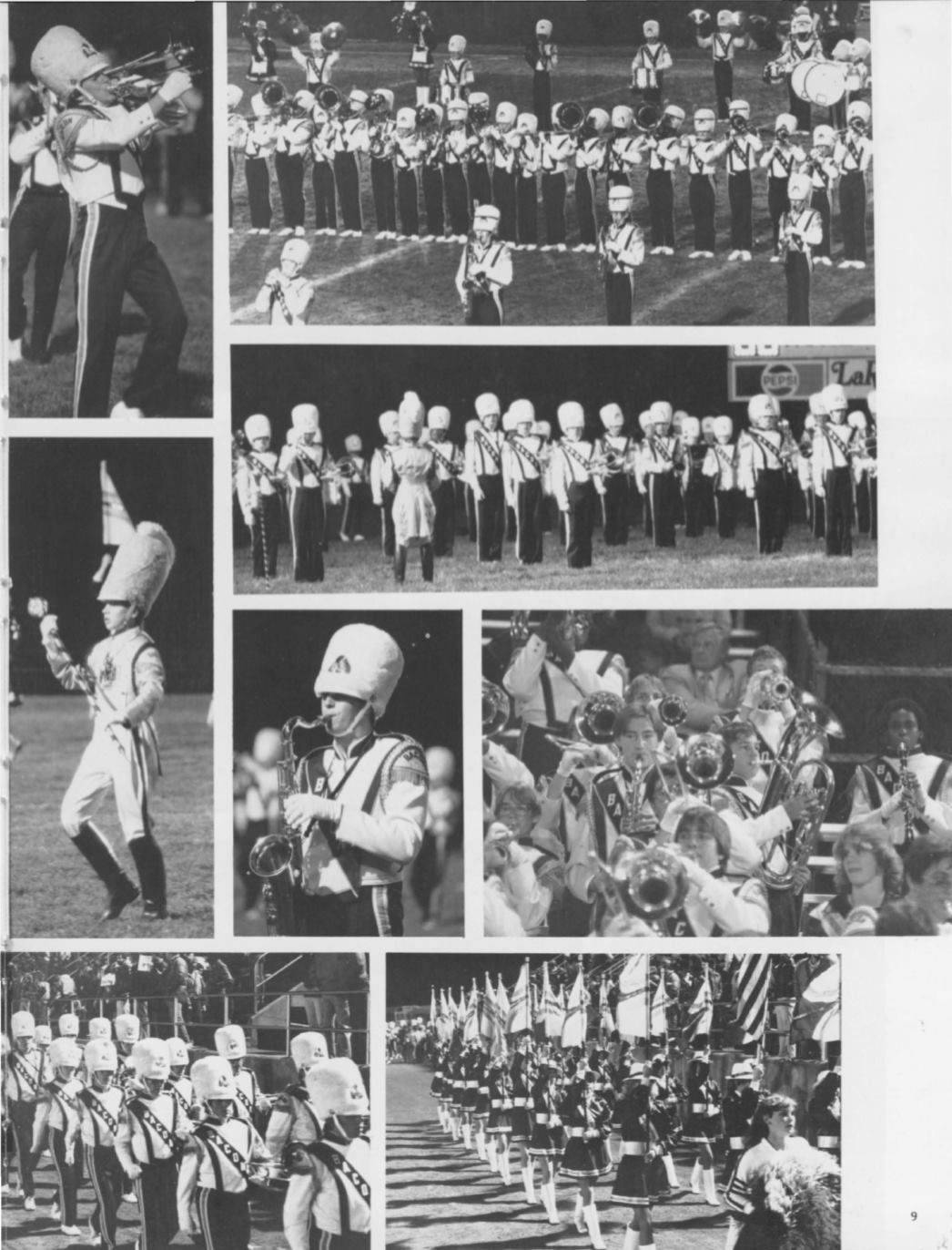 Page Background