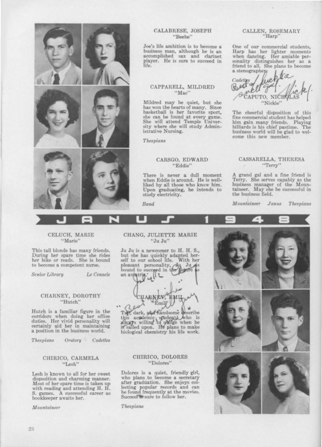 Page Background